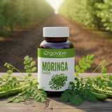 Moringa Tablet