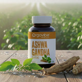 Ashwagandha Tablet